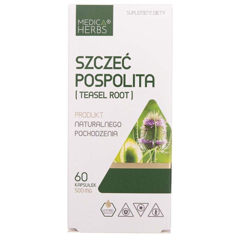 Medica Herbs Szczeć Pospolita (Teasel Root) 500 mg - 60 kapsułek