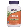 Now Foods EGCg Zielona Herbata ekstrakt 400 mg - 180 kapsułek