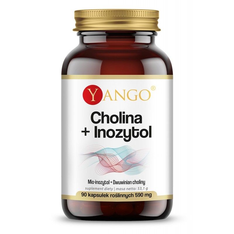 Yango Cholina + Inozytol 250 mg - 90 kapsułek