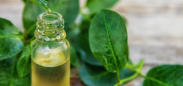 Olejek z drzewa herbacianego - idealny kosmetyk w walce z trądzikiem