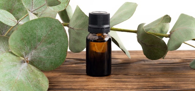 Olejek eukaliptusowy - idealny środek na przeziębienie i problemy z cerą