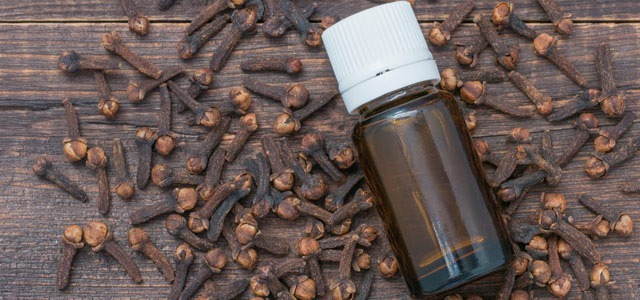 Olejek goździkowy - piękny zapach i moc dobroczynnych właściwości