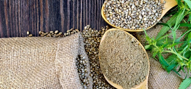 Mąka konopna – dlaczego warto wprowadzić ją do jadłospisu?